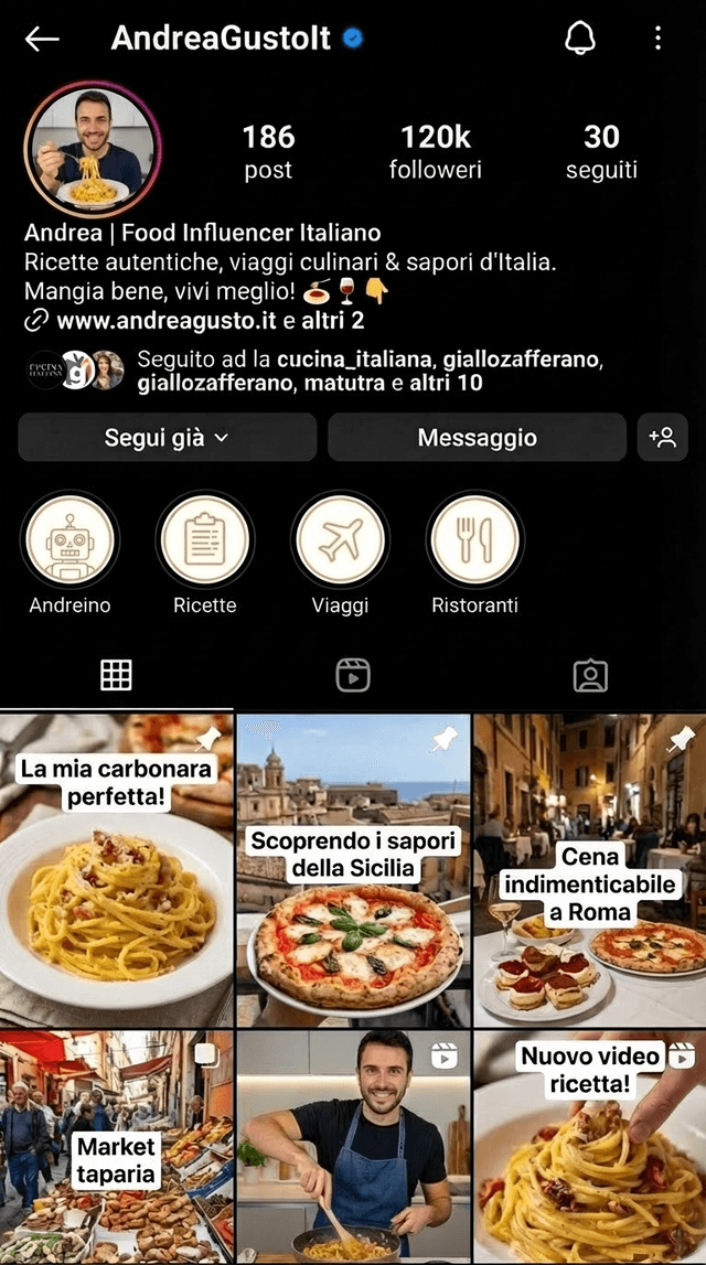 Instagram profile with Twin highlight